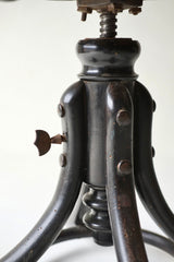 Early 20th Century Thonet Bentwood Swivel Armchair