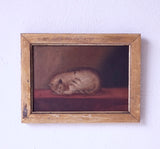 19th Century English School, Oil On Canvas, Sleeping Cat