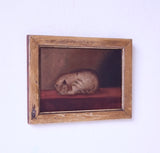19th Century English School, Oil On Canvas, Sleeping Cat