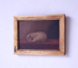 19th Century English School, Oil On Canvas, Sleeping Cat