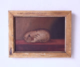 19th Century English School, Oil On Canvas, Sleeping Cat