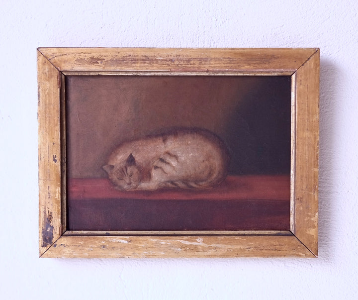 19th Century English School, Oil On Canvas, Sleeping Cat
