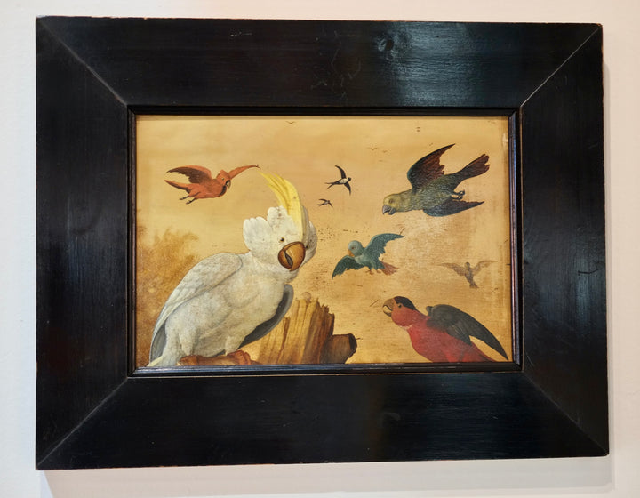 Cockatoo and Parrots Oil On Board